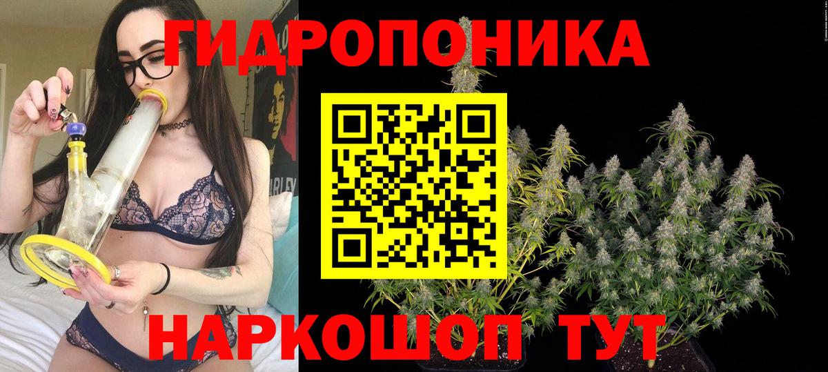 Канабис Amnesia Сегежа